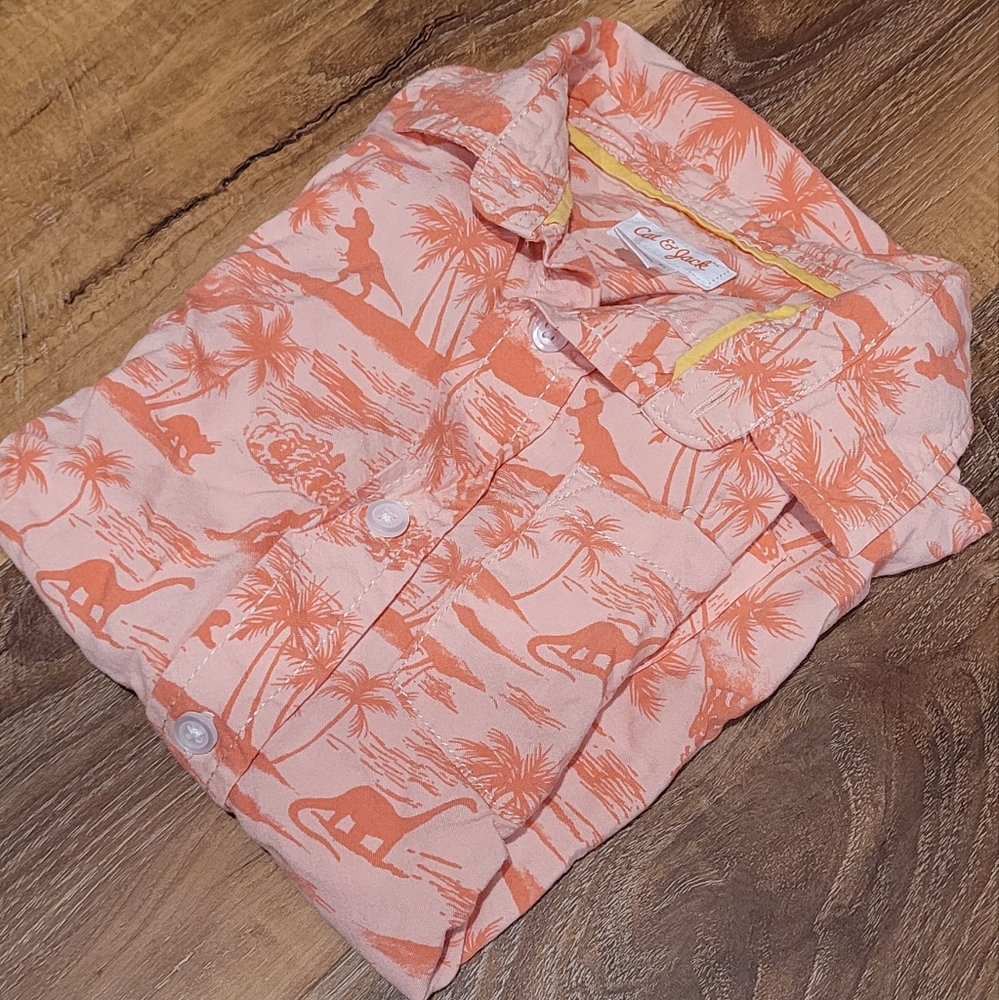 Dinosaur button down shirt